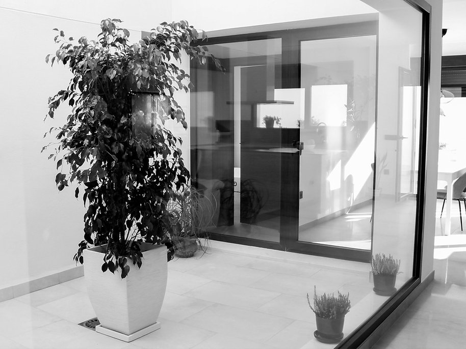 Patio interior con plantas y luz natural