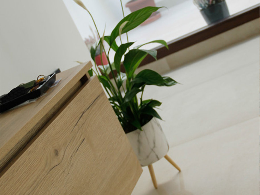 Patio interior con plantas y luz natural