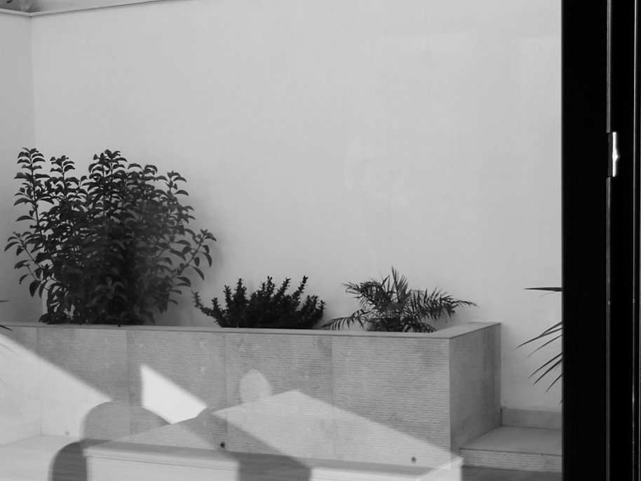 Patio interior con plantas y luz natural